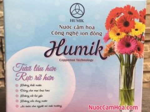 Hoạt động 5